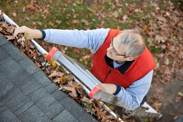 Gutter cleaning