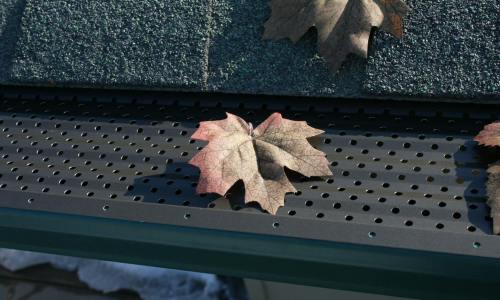 ProLoc Gutter Guard