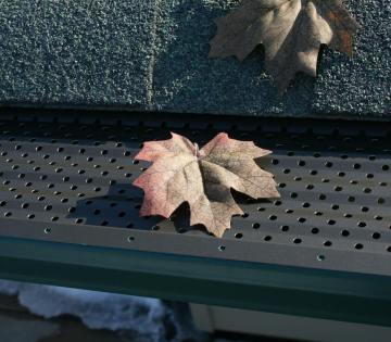 ProLoc Gutter Guard