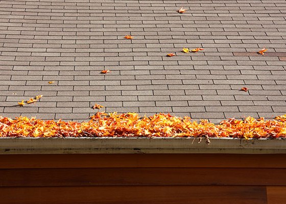 leaves in gutters