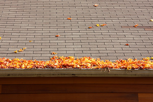 leaves in gutters