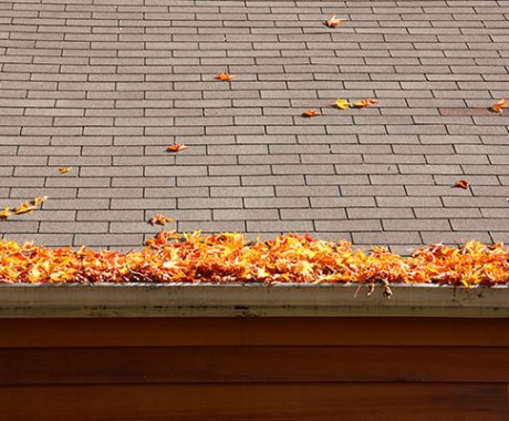 Avoid Clogged Gutters This Fall