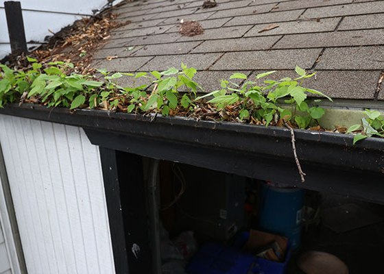 clogged gutters need replacing