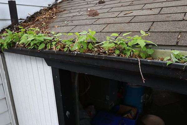 clogged gutters need replacing
