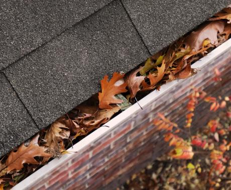 Can Clogged Gutters Make You Sick?